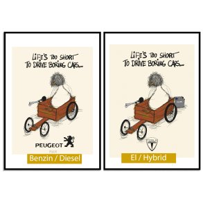 Din bil + Dit bilmrke/logo